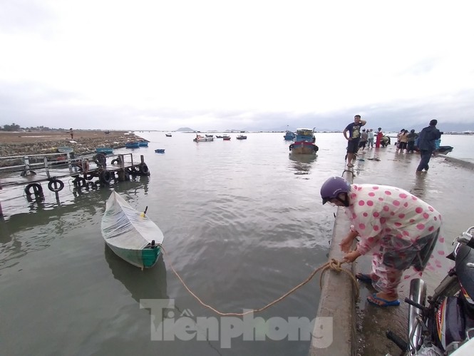 Khánh Hoà khẩn trương đưa lồng bè ngư dân vào bờ để tránh bão 12 - ảnh 1