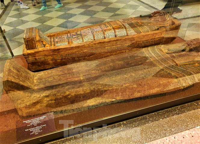 Lạc bước trong Bảo tàng Hermitage diễm lệ - ảnh 11