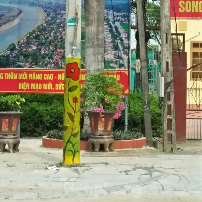 Hàng trăm cột điện ‘nở hoa’ ở xứ Thanh - ảnh 3