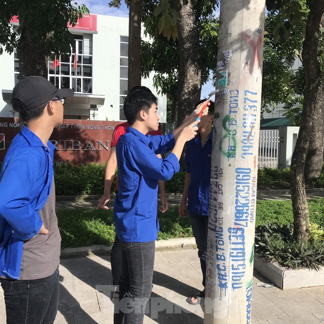 Hàng trăm cột điện ‘nở hoa’ ở xứ Thanh - ảnh 4