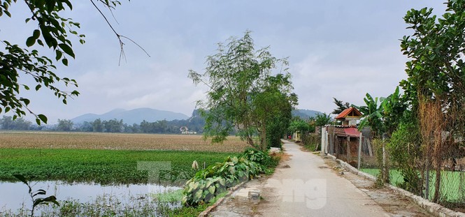 Người dân quê nhà vui, tự hào lần đầu có người lên ngôi Hoa hậu Việt Nam là Đỗ Thị Hà - ảnh 5