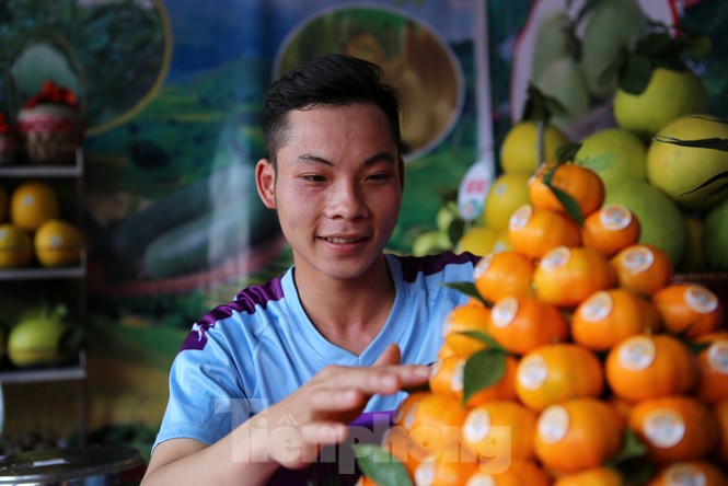 Đặc sắc hội chợ cam, bưởi ở Bắc Giang - ảnh 8