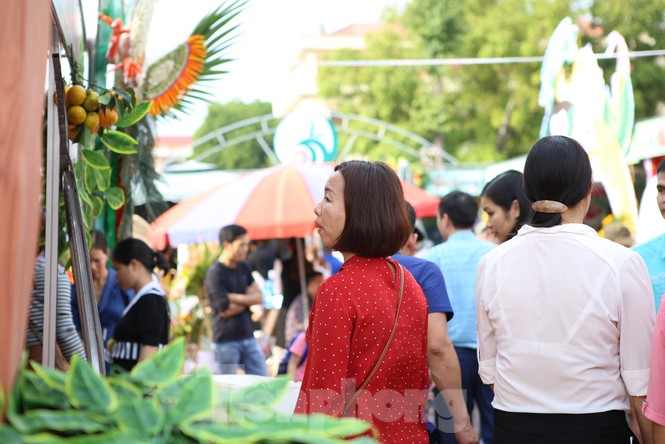 Đặc sắc hội chợ cam, bưởi ở Bắc Giang - ảnh 5