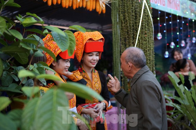 Đặc sắc hội chợ cam, bưởi ở Bắc Giang - ảnh 6