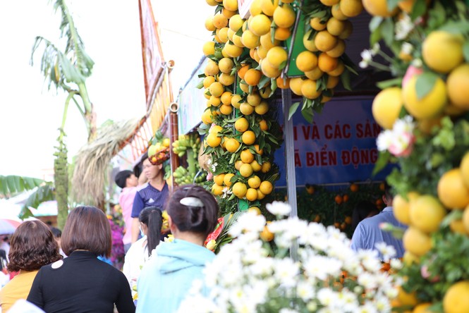 Đặc sắc hội chợ cam, bưởi ở Bắc Giang - ảnh 4