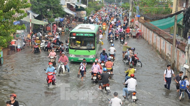 Học sinh xắn quần lội nước đến trường ngày đầu tuần vì triều cường gây ngập - ảnh 1