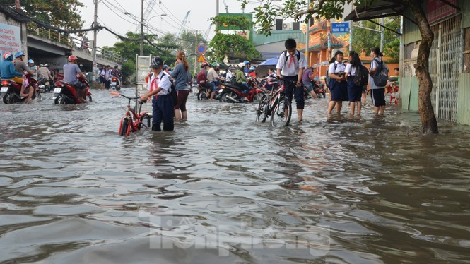 Học sinh xắn quần lội nước đến trường ngày đầu tuần vì triều cường gây ngập - ảnh 3