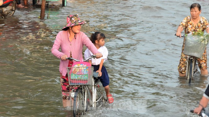 Học sinh xắn quần lội nước đến trường ngày đầu tuần vì triều cường gây ngập - ảnh 6