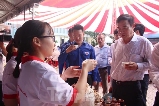 Khởi động sân chơi khởi nghiệp cho đoàn viên, thanh niên, sinh viên - ảnh 1