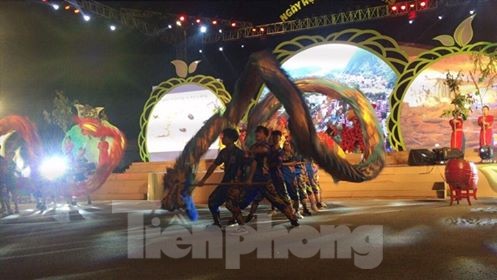 Khai mạc lễ hội na Chi Lăng 2019 - ảnh 1