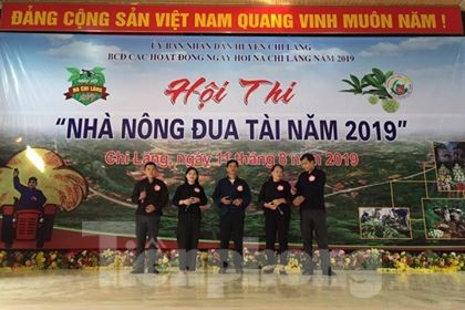Khai mạc lễ hội na Chi Lăng 2019 - ảnh 2