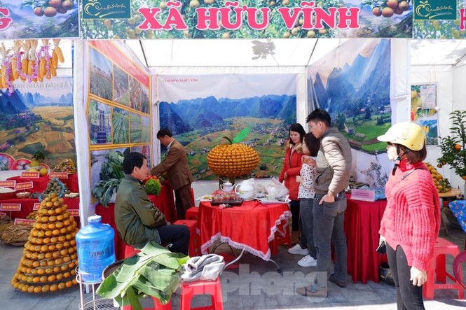 Lễ hội quýt vàng Bắc Sơn - ảnh 2