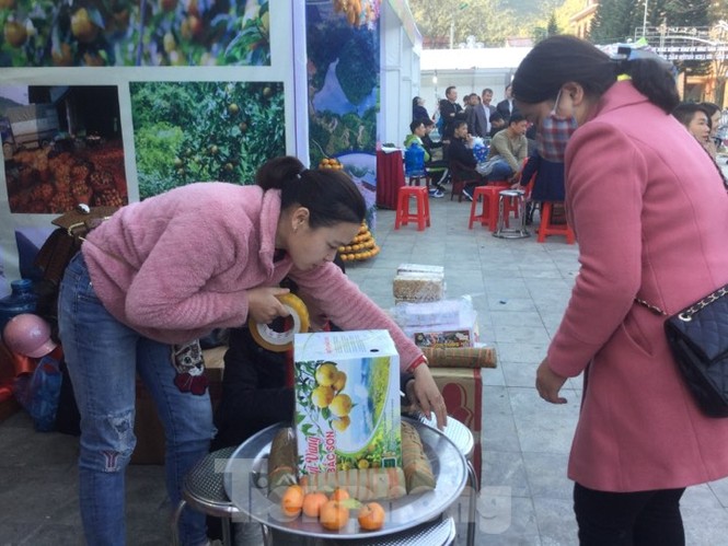 Lễ hội quýt vàng Bắc Sơn - ảnh 3