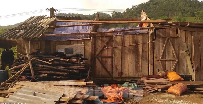 Giông lốc kinh hoàng ở Lạng Sơn, quật ngã nhiều cây cối, nhà cửa - ảnh 2