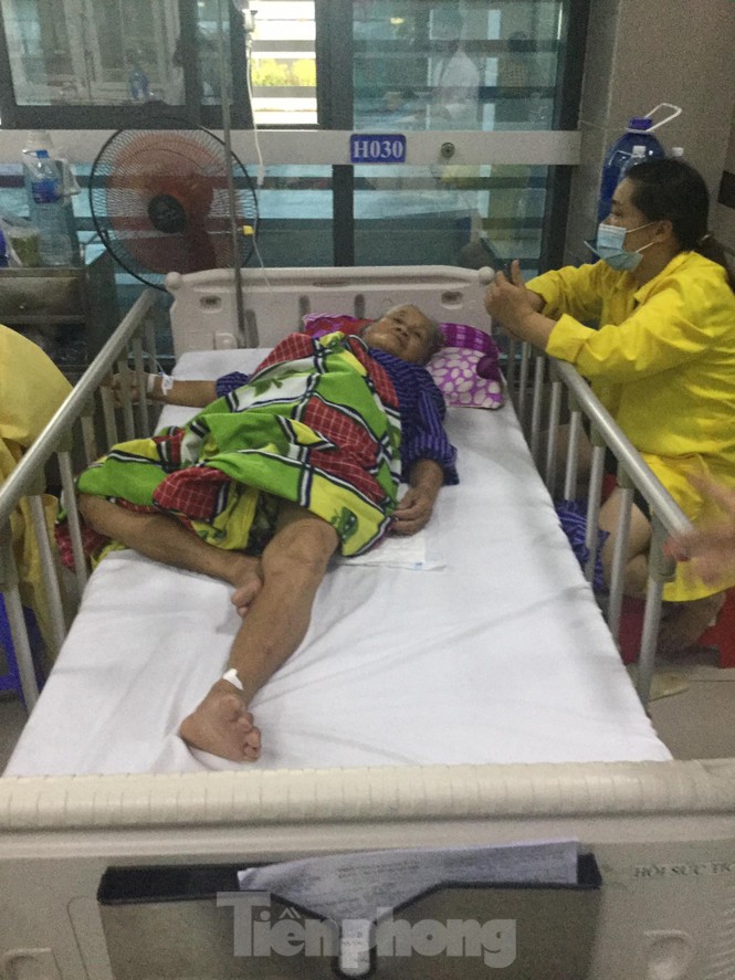 Ăn hoa chuông rừng, 3 người bị hôn mê sâu - ảnh 1