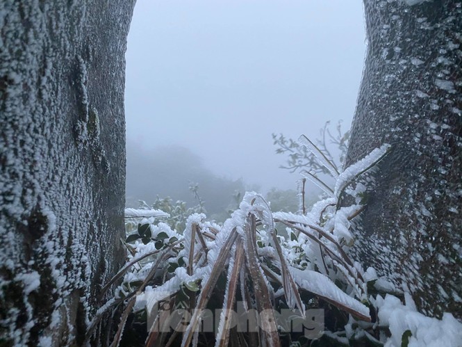 Snow appears above Mau Son - photo 9