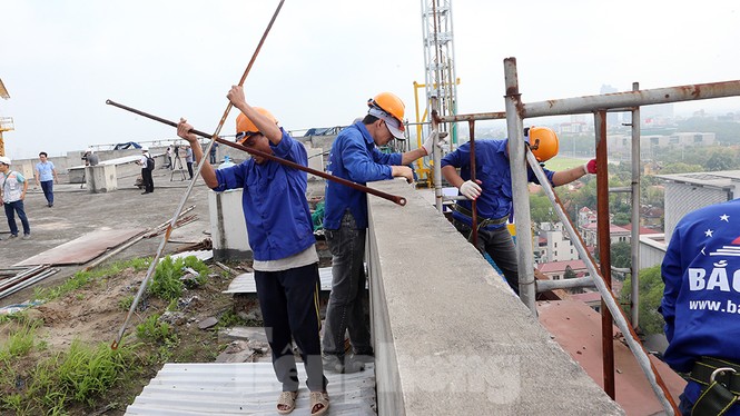 8b lê trực, phá dỡ, 93 lò đúc, kinh đô, hà nội, chủ đầu tư, cưỡng chế, cắt ngọn, chủ tịch hà nội, bí thư hà nội - ảnh 7