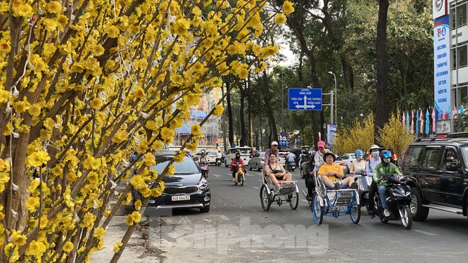 Có một ngày Tết thôn quê giữa lòng Sài Gòn - ảnh 1