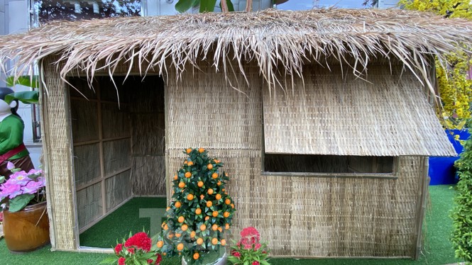 Có một ngày Tết thôn quê giữa lòng Sài Gòn - ảnh 11