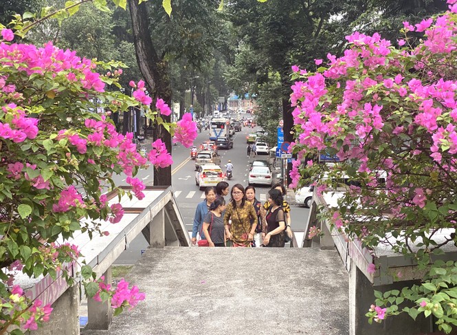 Hồ Con Rùa sắp trở thành phố đi bộ ở TPHCM - ảnh 1