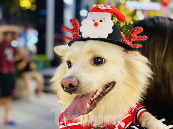 Người dân TPHCM rộn ràng đi chơi Noel sớm - ảnh 7