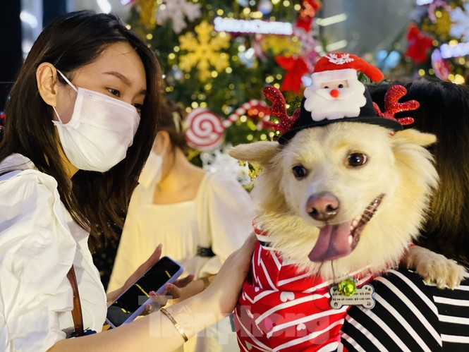Người dân TPHCM rộn ràng đi chơi Noel sớm - ảnh 6