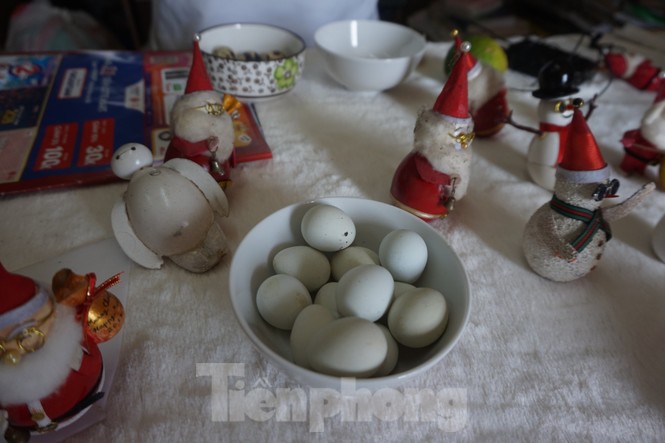 Cụ ông 70 tuổi 'hô biến' vỏ trứng thành ông già Noel độc đáo - ảnh 4