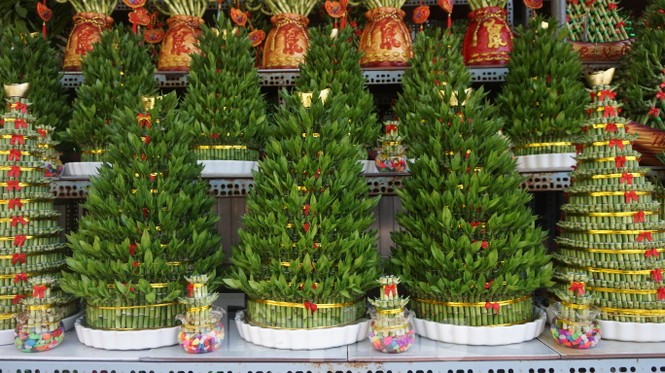 Bưởi diễn vượt hàng nghìn cây số vào Nam, người Sài Gòn ký tên lên chậu đặt trước - ảnh 15