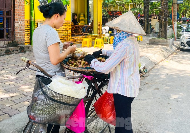 “Săn bóng râm” tranh thủ chợp mắt giữa trưa nắng Hà Nội - ảnh 7