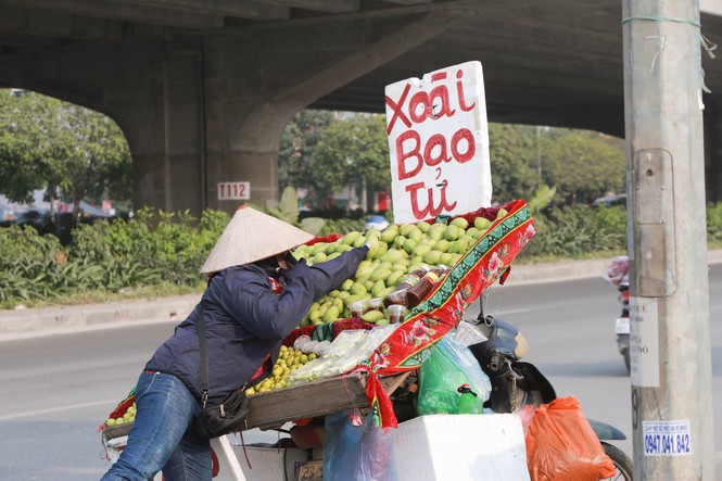 Hoa quả giá rẻ không rõ nguồn gốc bày bán ngập phố Hà Nội - ảnh 7