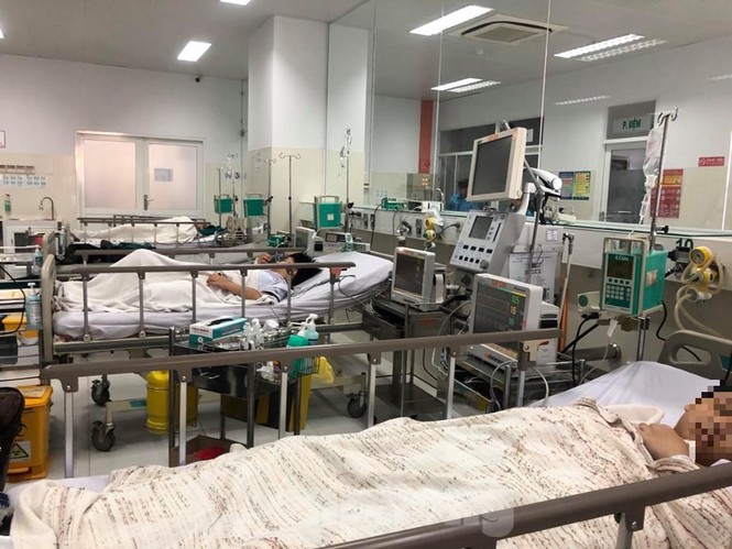 Cây đổ đè chết học sinh trong sân trường: Hiệu trưởng nhận trách nhiệm - ảnh 1