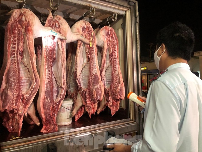 Xuyên đêm lấy mẫu kiểm tra thực phẩm - ảnh 1