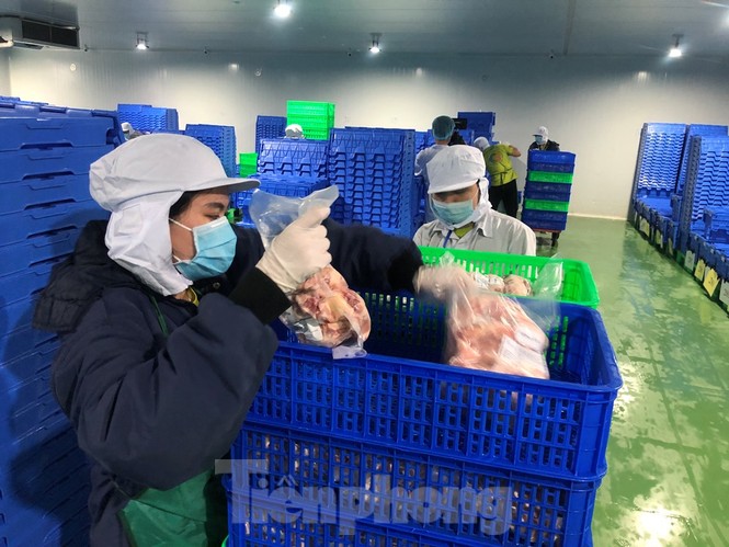 Xuyên đêm lấy mẫu kiểm tra thực phẩm - ảnh 8