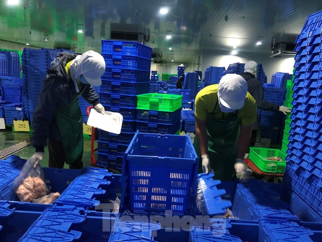Xuyên đêm lấy mẫu kiểm tra thực phẩm - ảnh 9