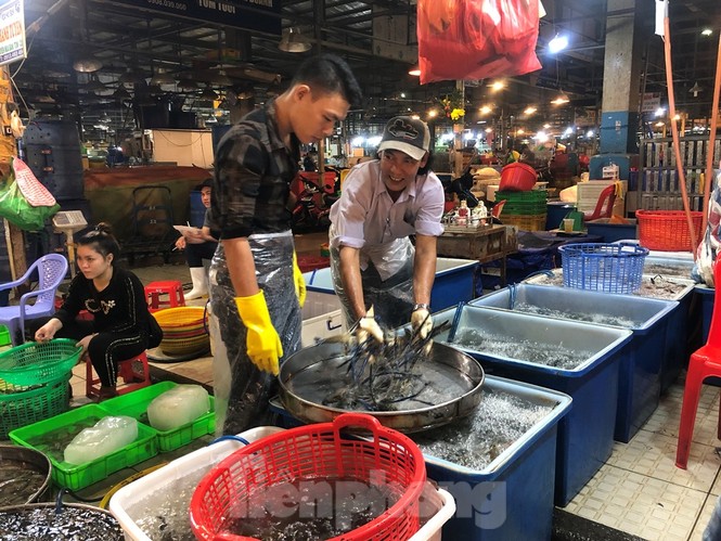 Xuyên đêm lấy mẫu kiểm tra thực phẩm - ảnh 3