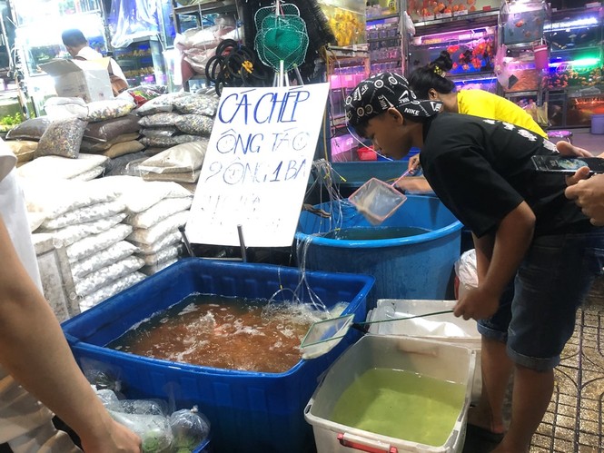 Tối muộn, người TPHCM tranh thủ mua cá chép cúng ông Táo - ảnh 2
