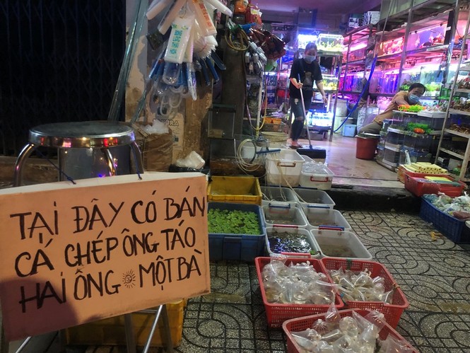 Tối muộn, người TPHCM tranh thủ mua cá chép cúng ông Táo - ảnh 6