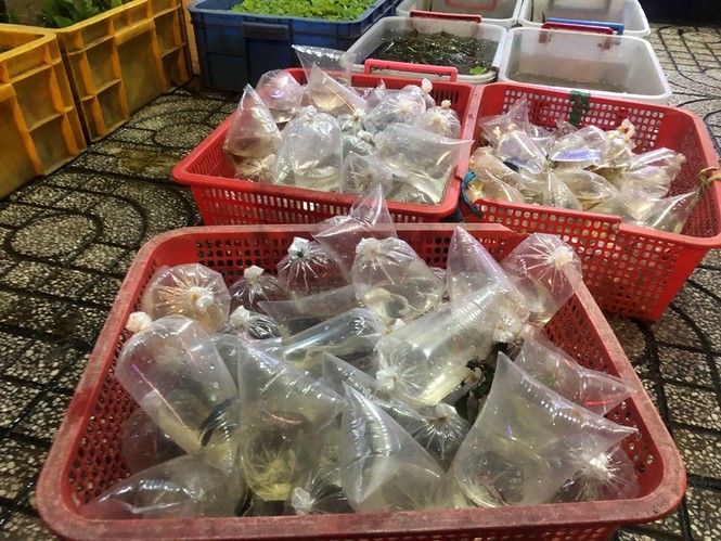 Tối muộn, người TPHCM tranh thủ mua cá chép cúng ông Táo - ảnh 7