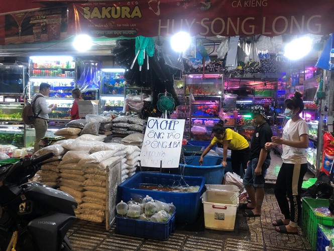 Tối muộn, người TPHCM tranh thủ mua cá chép cúng ông Táo - ảnh 8