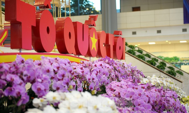 1.200 cành lan khoe sắc không gian Đại hội Hội LHTN Việt Nam lần thứ VIII - ảnh 7