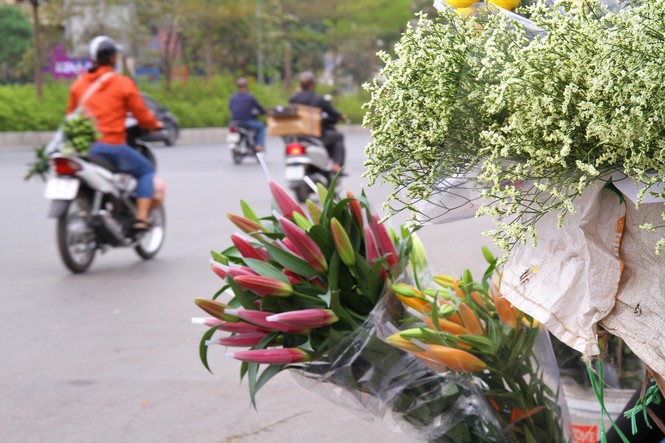 Hoa tươi sau Tết ở Hà Nội rớt giá thê thảm chưa từng thấy - ảnh 10