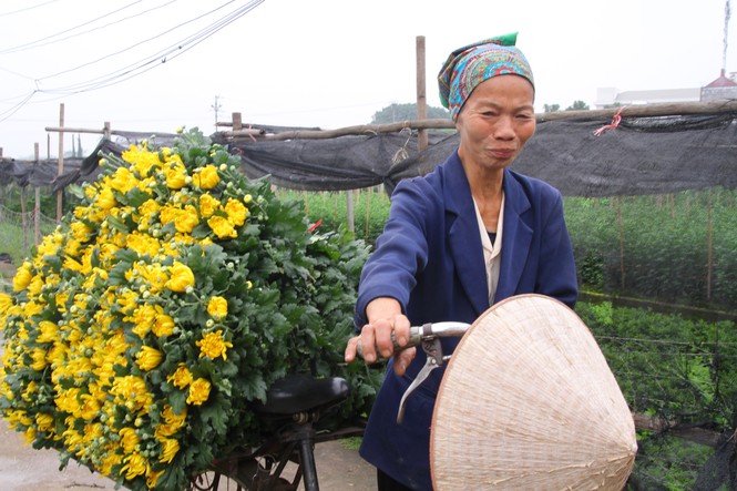 Người dân làng Tây Tựu phấn khởi vì giá hoa 'hồi sinh' - ảnh 4