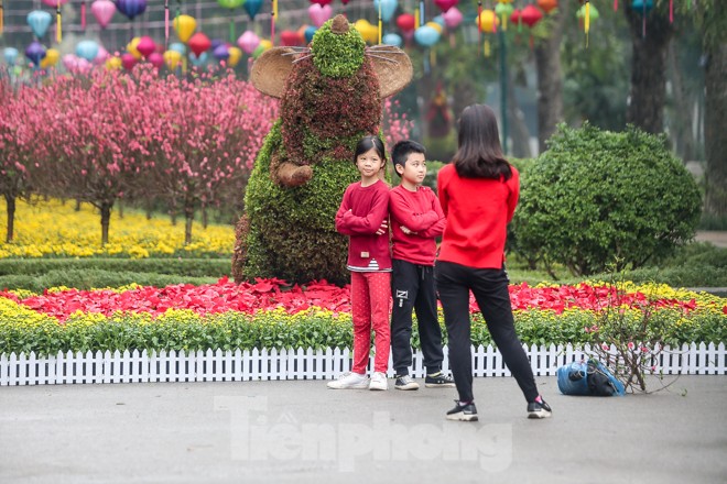 Đường phố Hà Nội trang hoàng đón Tết Canh Tý 2020 - ảnh 5