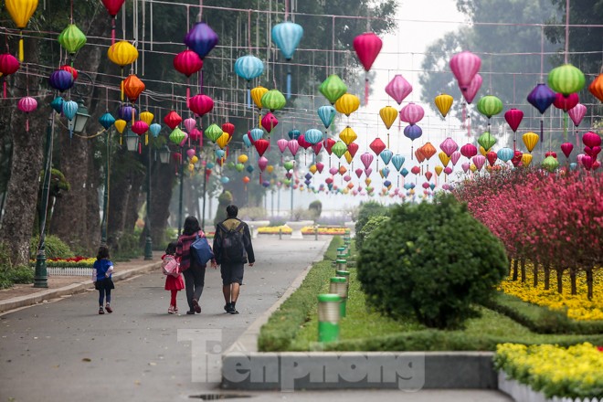 Đường phố Hà Nội trang hoàng đón Tết Canh Tý 2020 - ảnh 6