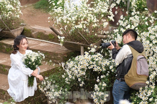 Nghìn người chen chân chụp ảnh cúc họa mi, dịch vụ 'ăn theo' hốt bạc - ảnh 12