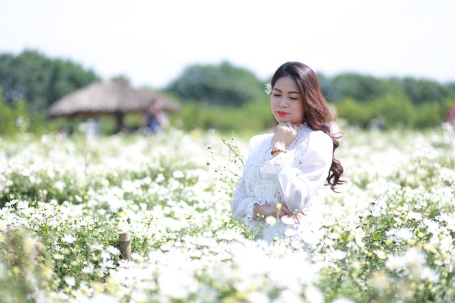 Nghìn người chen chân chụp ảnh cúc họa mi, dịch vụ 'ăn theo' hốt bạc - ảnh 9