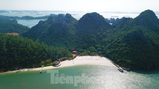 Hàng loạt đảo trên vịnh Bái Tử Long bị các đại gia chiếm làm “vương quốc” riêng - ảnh 2