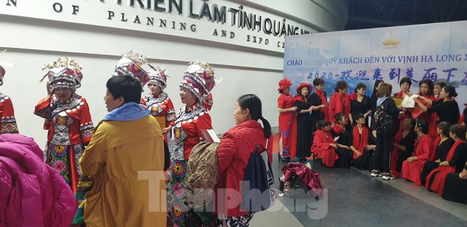Dừng toàn bộ hoạt động của khách nước ngoài tại cung cá heo Quảng Ninh - ảnh 7