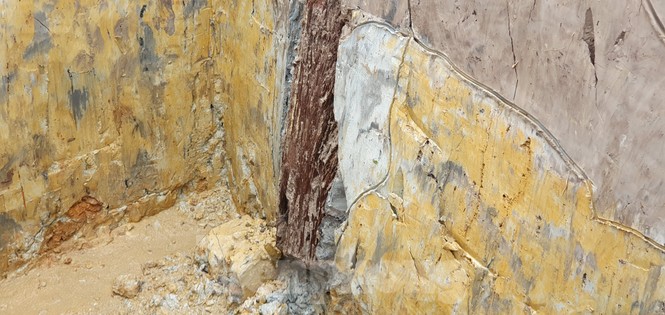 Có gì trong bãi cọc nghìn năm tuổi ở Hải Phòng? - ảnh 4