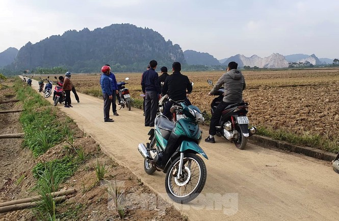 Người dân đổ xô đi xem bãi cọc nghìn năm tuổi ở Hải Phòng - ảnh 1